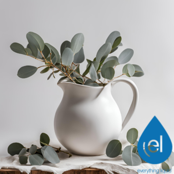 Eucalyptus E-Liquid Flavour Concentrate - The Mixmaster Range