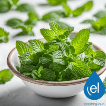 Spearmint E-Liquid Flavour Concentrate- The Mixmaster Range