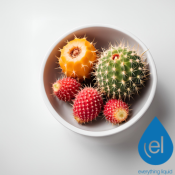 Cactus  E Liquid Flavour Concentrate- The Mixmaster Range