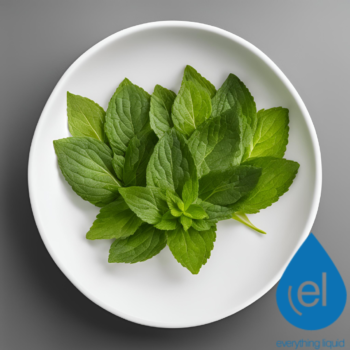 Double Mint E-Liquid Flavour Concentrate - The Mixmaster Range